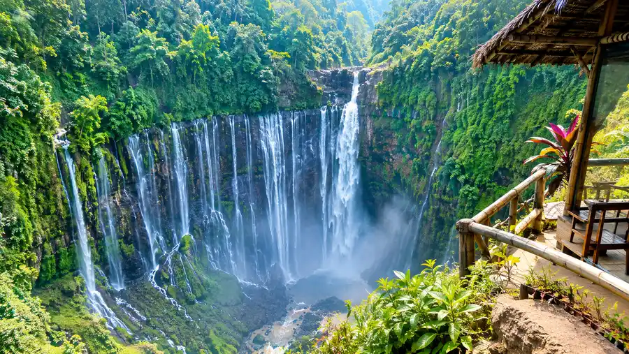 Best Tumpak Sewu Homestays & Hotels